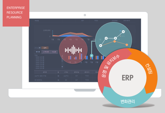 ERP - 컨설팅, 변화관리, 운영 및 유지보수